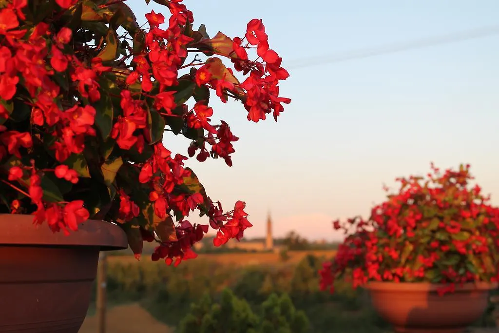Agriturismo Le Casette-1