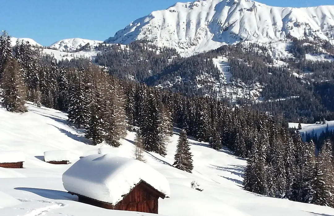 Plan Murin - Authentic Dolomites Hotel-1