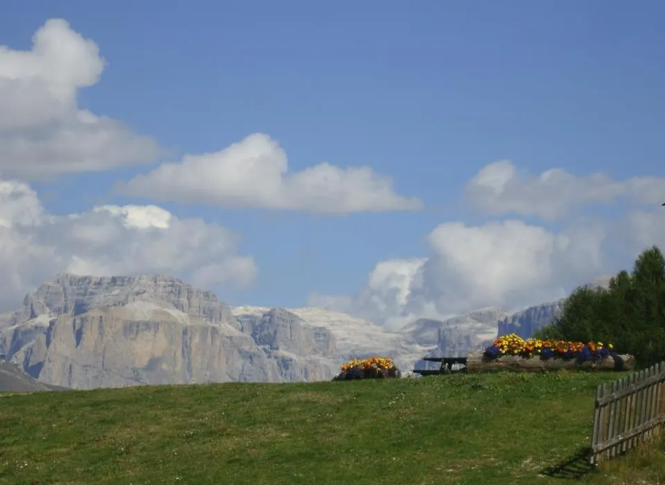 Albergo Rizzi-1