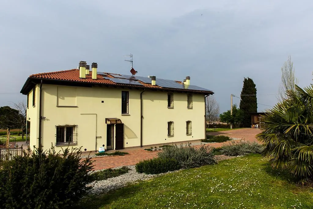 B&B Magic-1