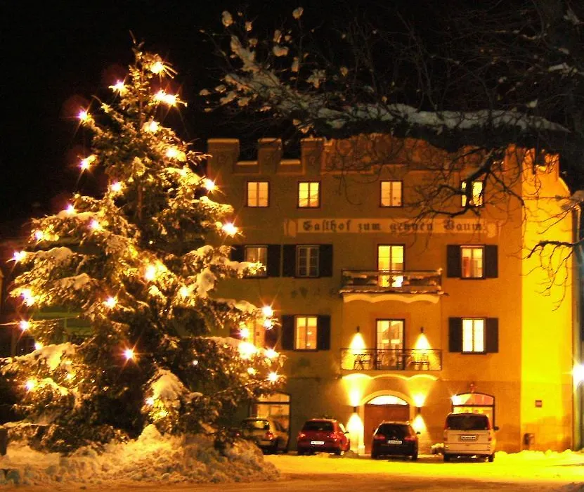 Hotel Gasthof Grüner Baum-1
