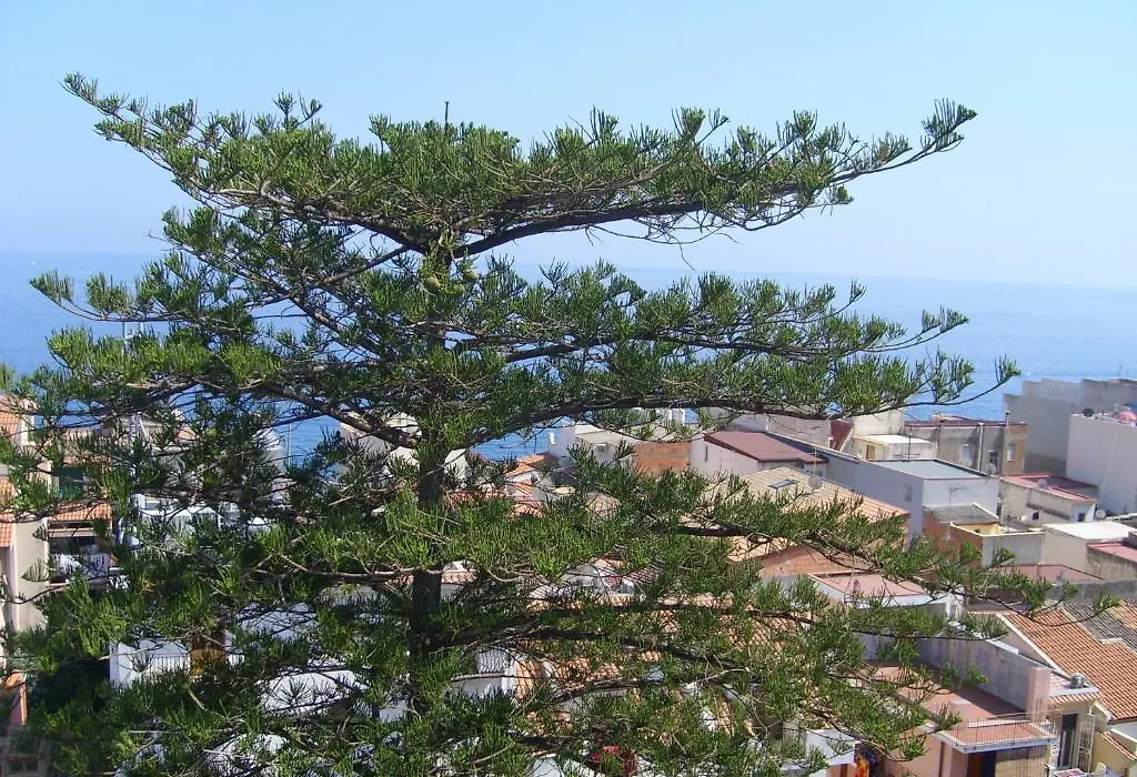 Hotel Delle Palme-1