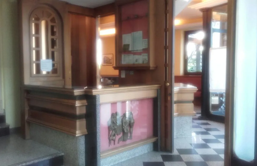 Hotel Treviglio-1