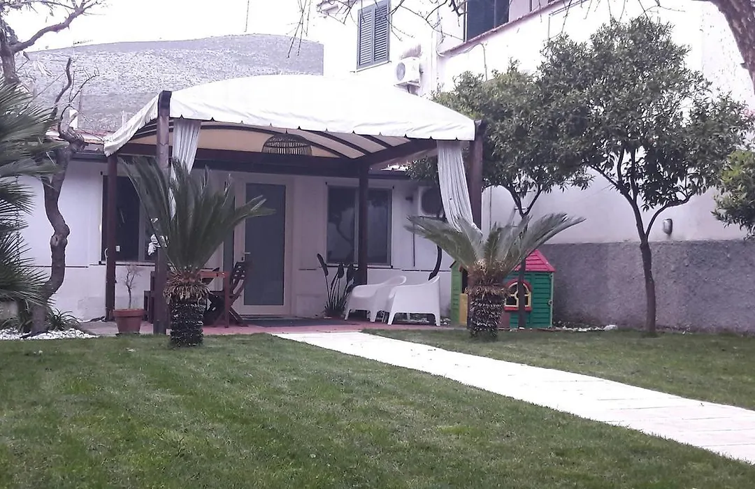 Blue B&B-1