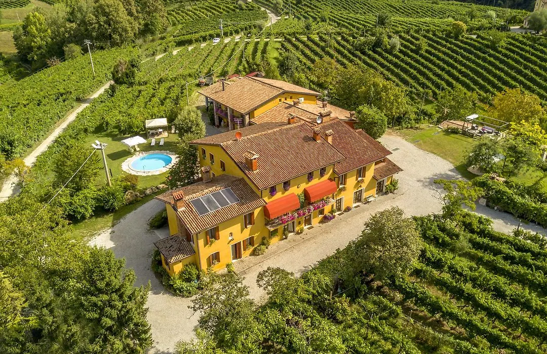 Azienda Agricola Campion-1