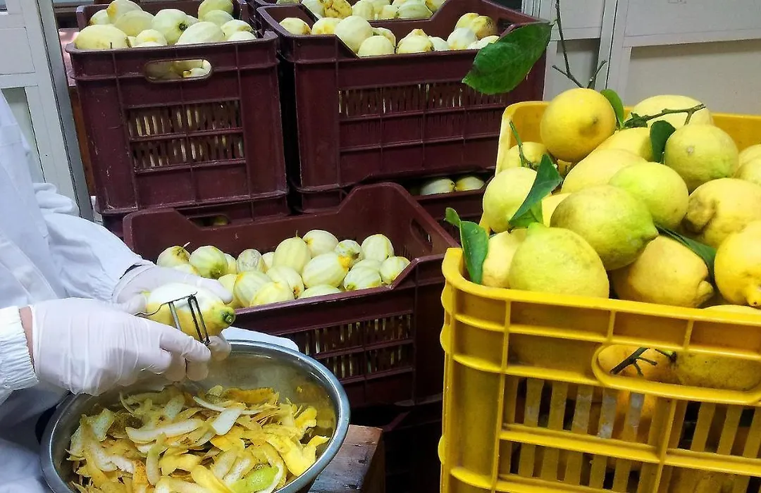 Sorrento Lemons View-1