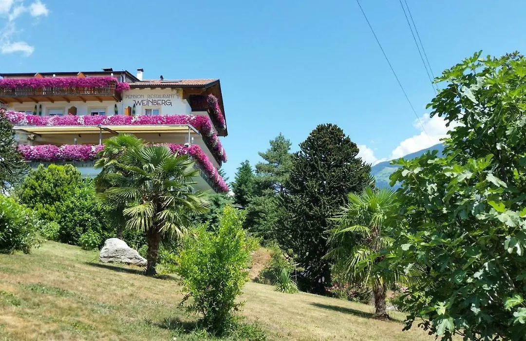 Pension Weinberg-1