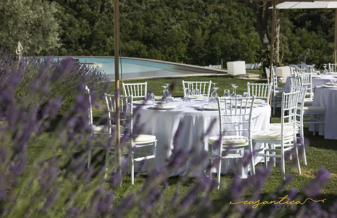 casAntica agriresort -Suites&Casa sull'albero-1