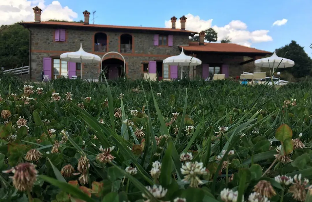 Agriturismo Il Serrino-1