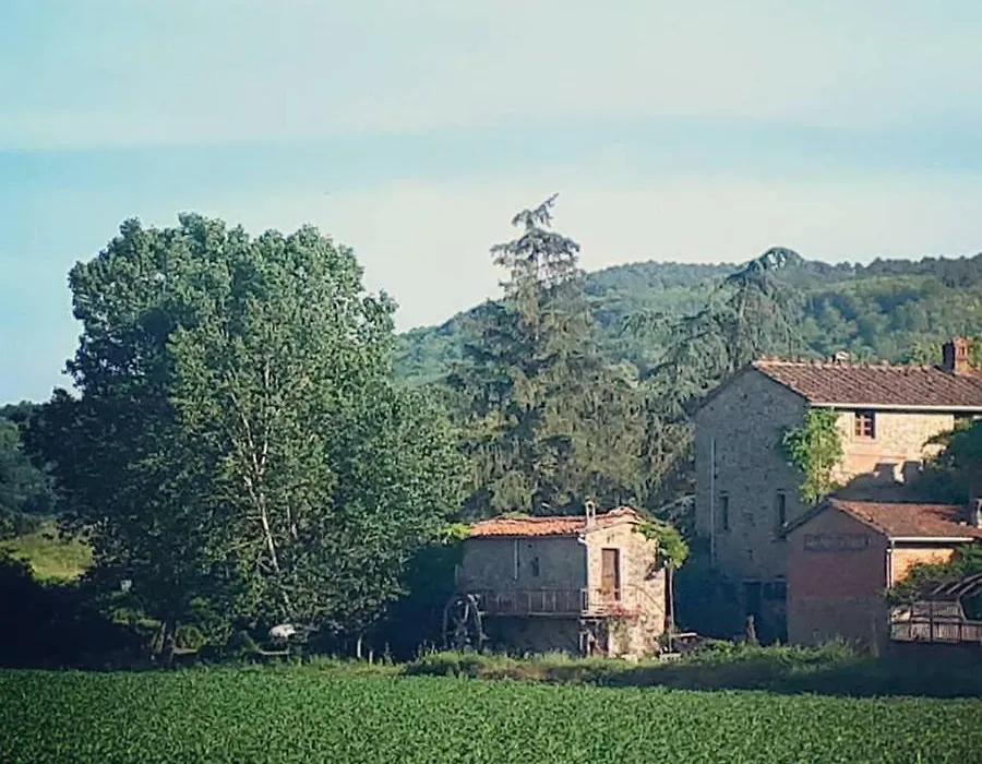 Podere Casina Rossa-1