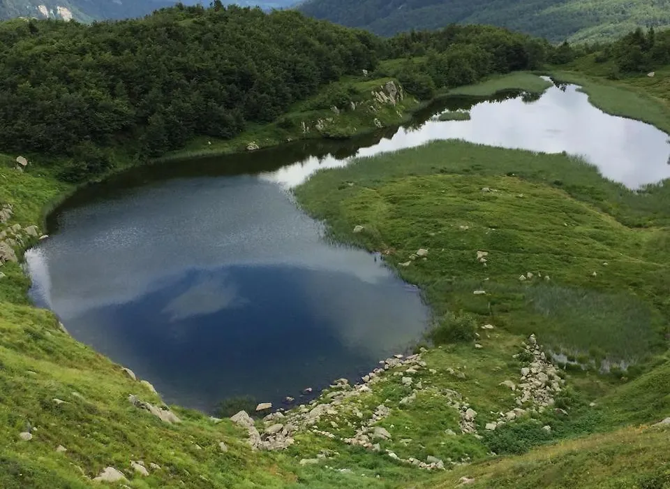 Val di Luce - Delizioso appartamento 6 posti letto - Accesso diretto alle piste da sci-1