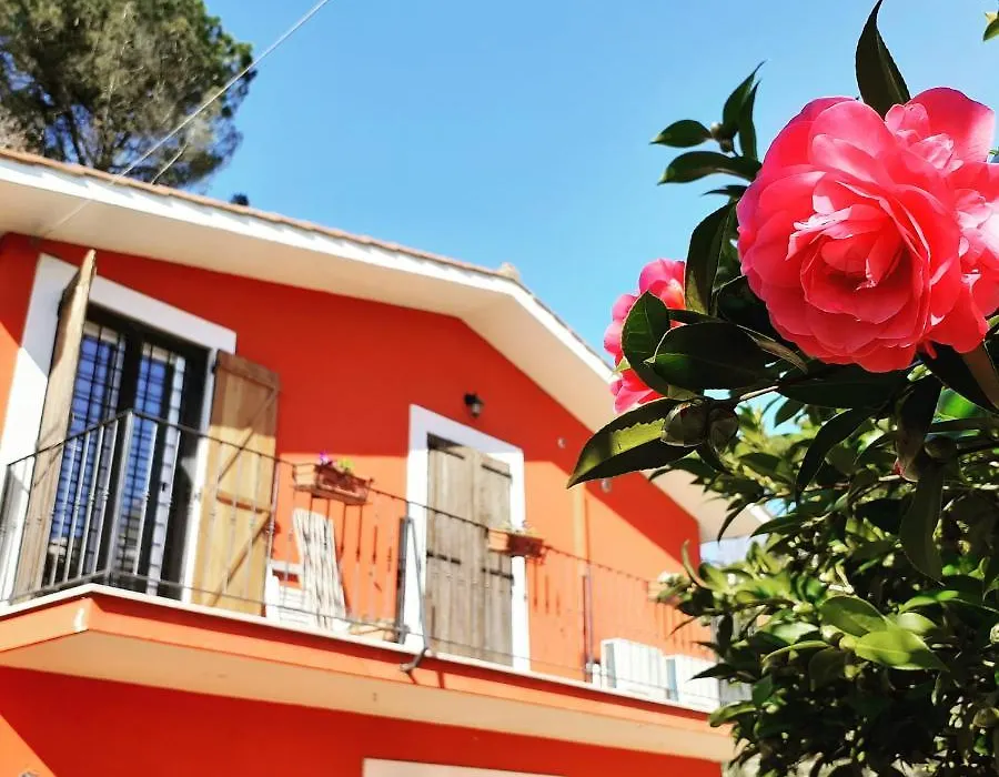 B&B Il Giardino Delle Camelie-1
