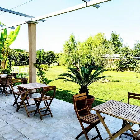 Agriturismo La Vite Maritata-2