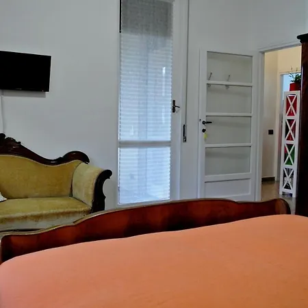 B&B Lori-2