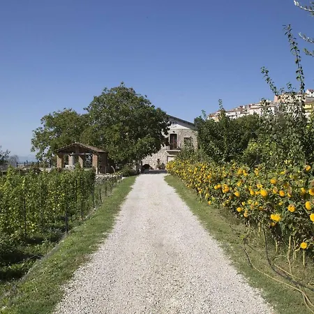 Le Coste Affittacamere-2