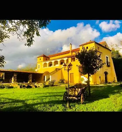 B&B Carlo III Formicola-2
