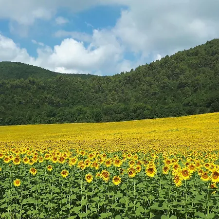 Il Girasole del Lago-3