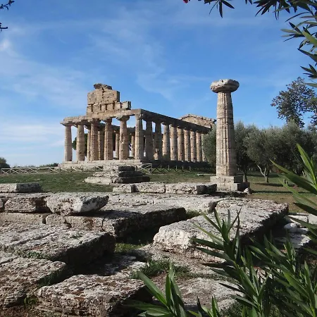 Vecchio Saracino - Carola 1801-2