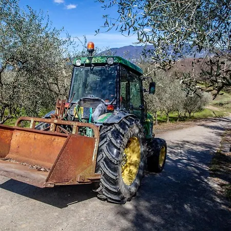 Locanda agricola Posapiano-2