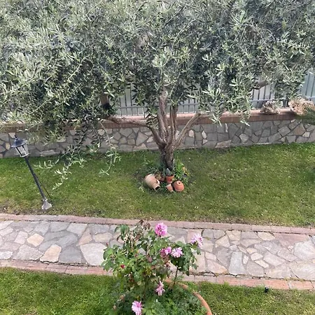 B&B Alba-3