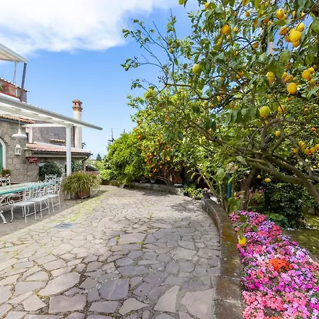 Villa Maresca B&B-3