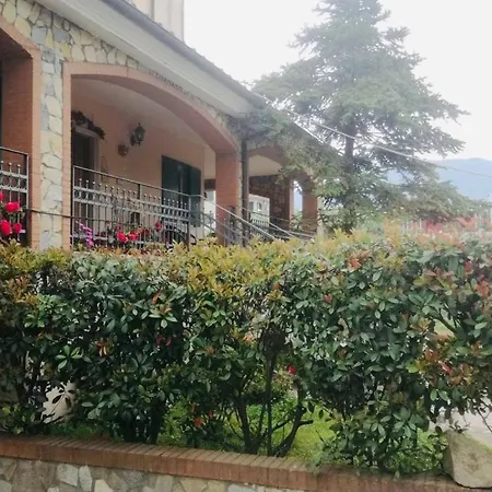 B&B Alba-2