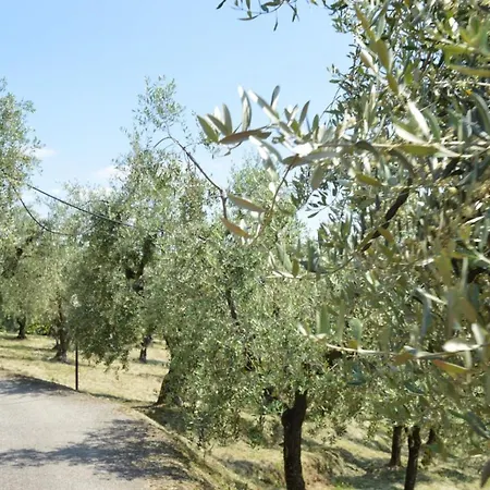 Il Podere di Tacito-2