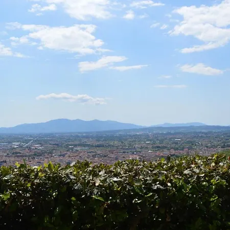 Il Podere di Tacito-3
