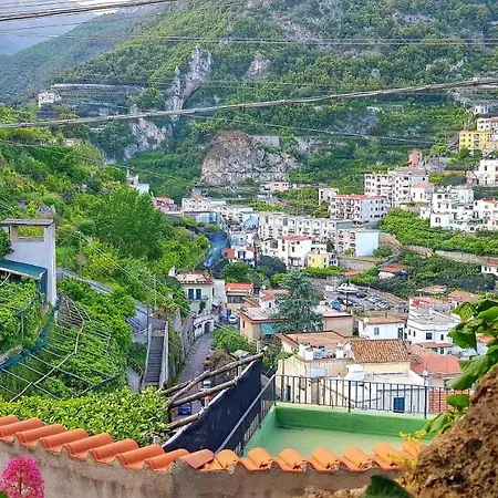 Il Limoneto degli Angeli-2