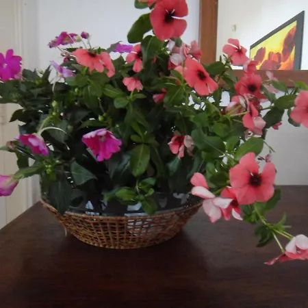 B&B Masseria del Marchese-2