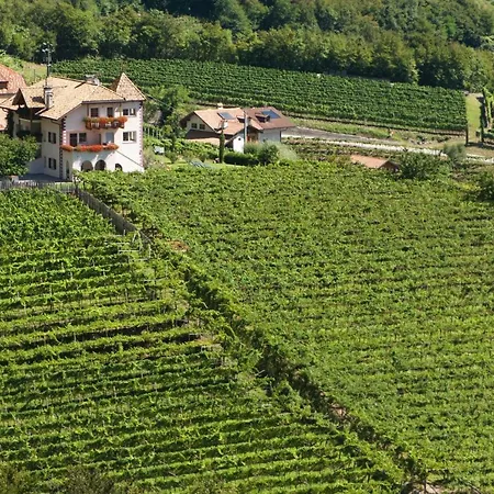 Santlhof - Sauvignon-2