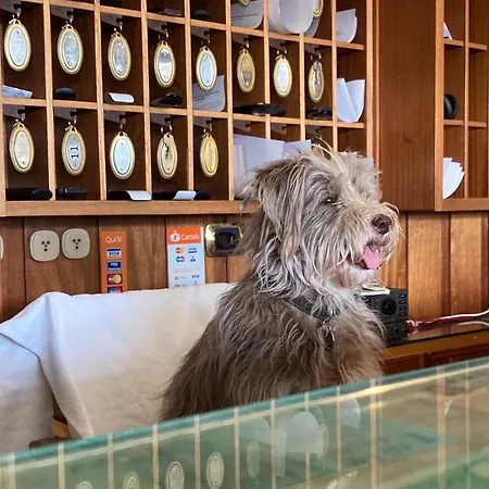 Hotel Ping Pong-3