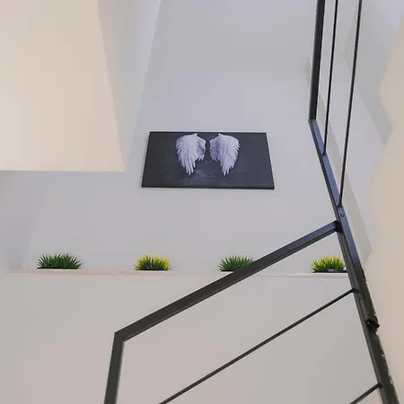 B&B Toci-2