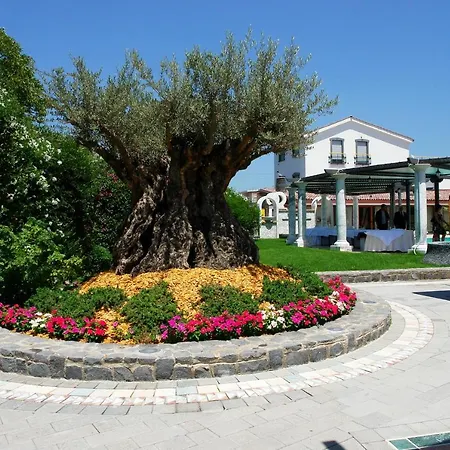 Villa Masseria Marini-3