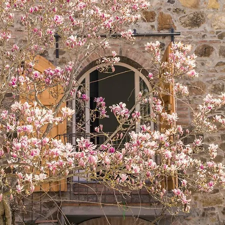 La Magnolia-3