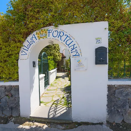 Villa Fortuna Holiday Resort-2