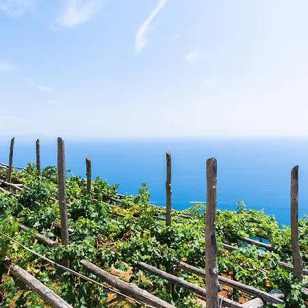 La Vigna di Bacco-3