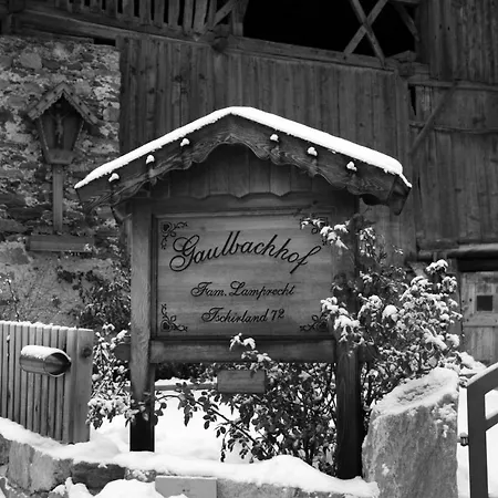 Gaulbachhof-3