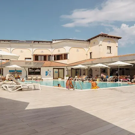 Amareclub Le Rose-2
