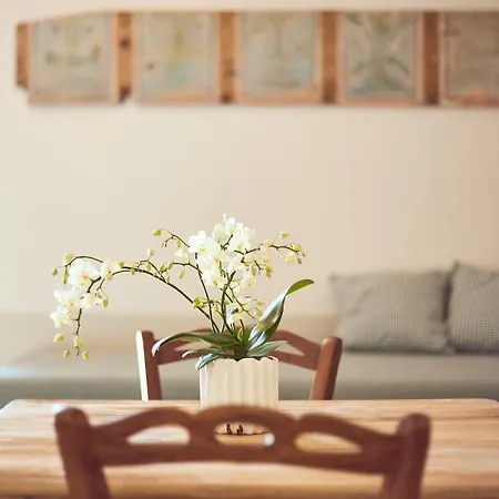 Cugusi Bnb-2