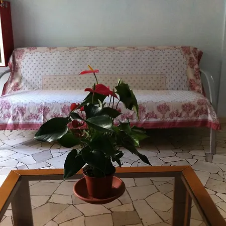 Hotel Mira-2