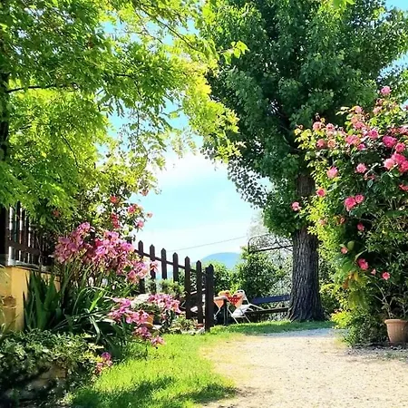 La Locanda dei Cavalieri Affittacamere-2