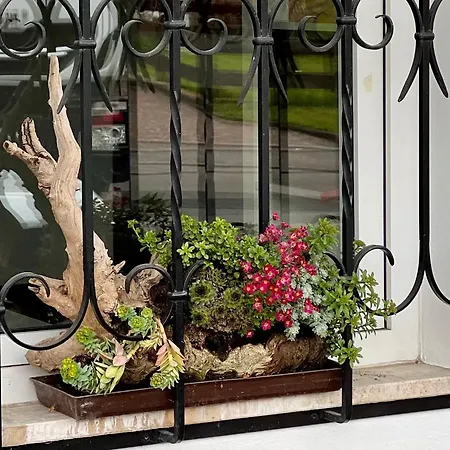 Ameiserhof Guesthouse-3