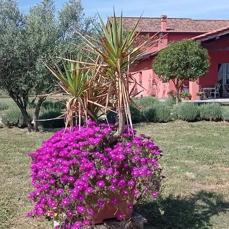 Il Casale di Giulia di Aprilia-2