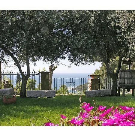 Villa Michela tra Cielo e Mare-2