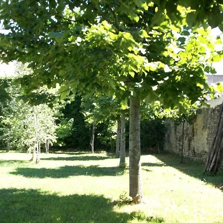 B&B Salvia e Rosmarino-2