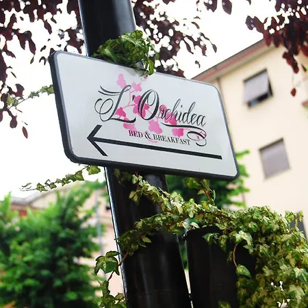 L'Orchidea-3