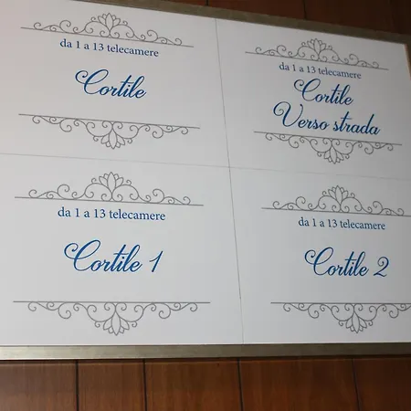 Carlo Cacciami-3