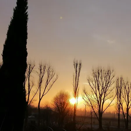 Resort Villa Manin-2