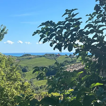 VALLELY la collina sul mare B&B d'Abruzzo-2